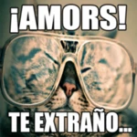 Logo of Memes Graciosos de Amor android Application 