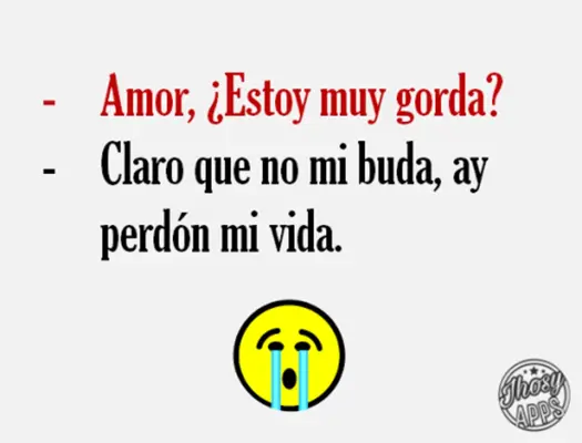 Memes Graciosos de Amor android App screenshot 2